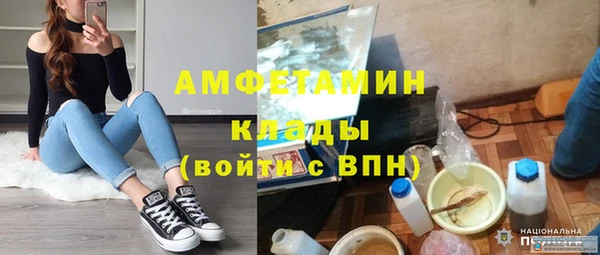 гидра Алексеевка
