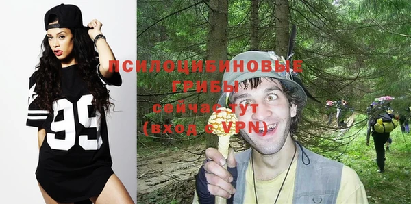 прущий лед Алексин