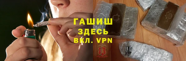 гидра Алексеевка