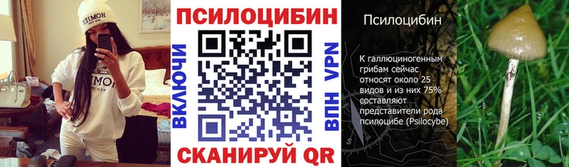 Галлюциногенные грибы GOLDEN TEACHER  цены   Строитель 